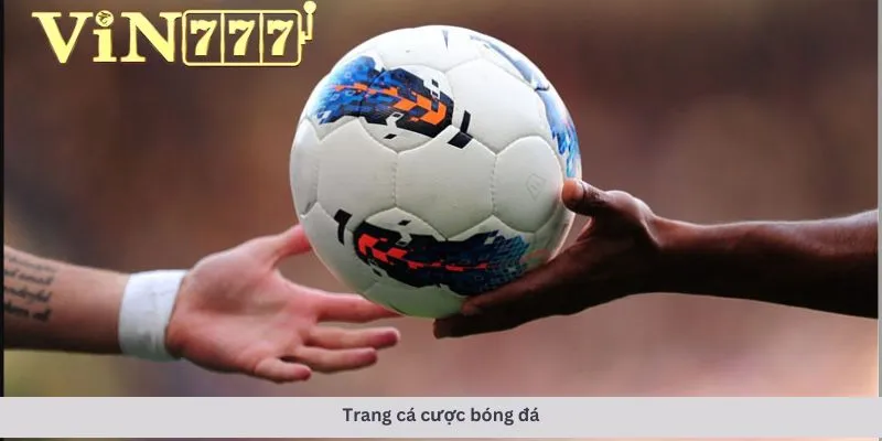trang cá cược bóng đá