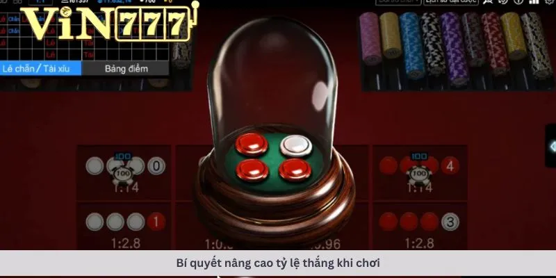 Xóc đĩa 3D 3 Bí quyết nâng cao tỷ lệ thắng