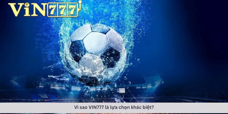 Trang cá cược bóng đá 4 Lựa chọn khác biệt