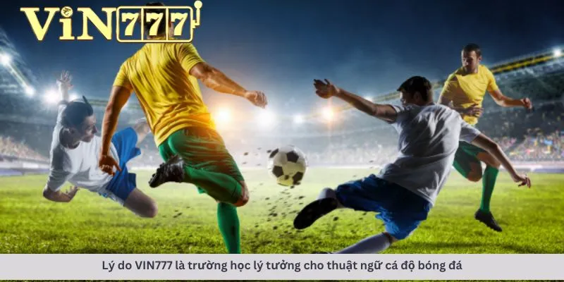 Thuật ngữ cá độ bóng đá 4 Lý do là nơi lý tưởng
