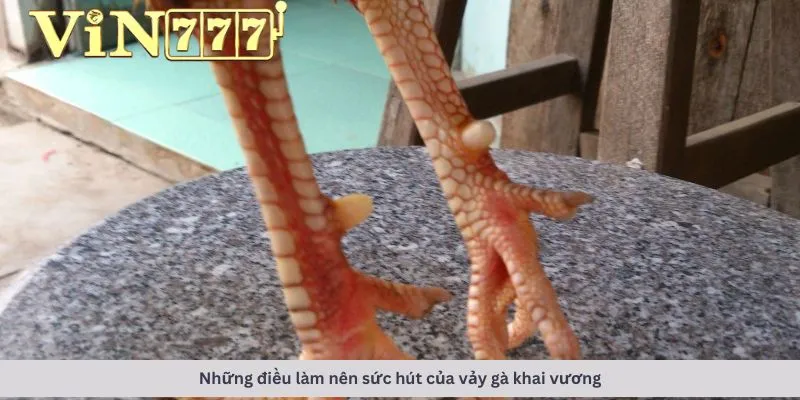 Những điều làm nên sức hút