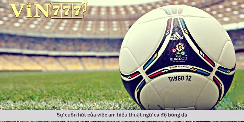 Thuật ngữ cá độ bóng đá 2 Sức cuốn hút của việc am hiểu