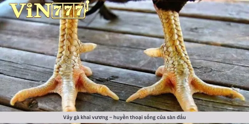 Huyền thoại sống của sàn đấu