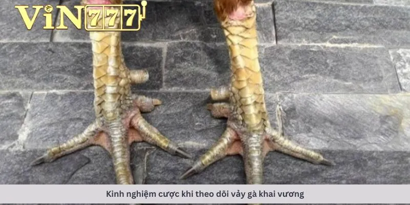 Kinh nghiệm khi cá cược