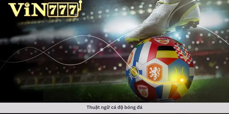 Thuật ngữ cá độ bóng đá