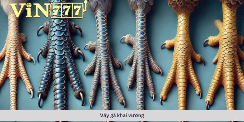 Vảy gà khai vương